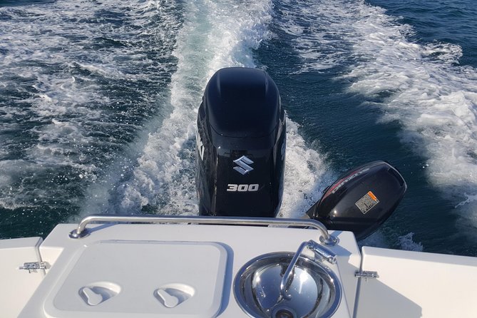 Boat fishing, boat tours, boat party - Fishing: enjoyable, but not a sure thing