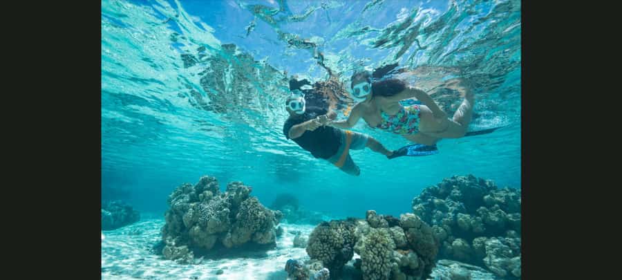 Bora Bora: Snorkeling and Fishing Tour with Lunch Option - What the $812 price really buys you