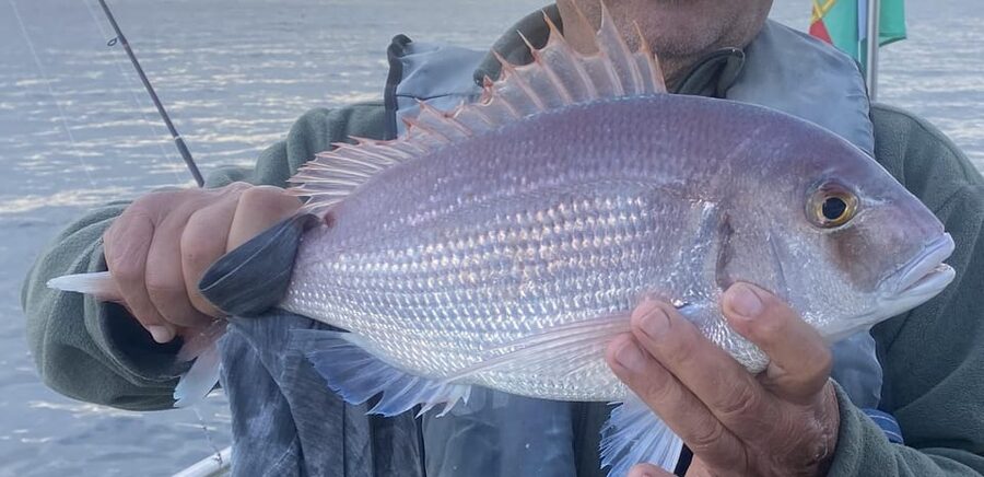 Bottom Fishing Lagos - Fishing spots, catches, and what you may bring home