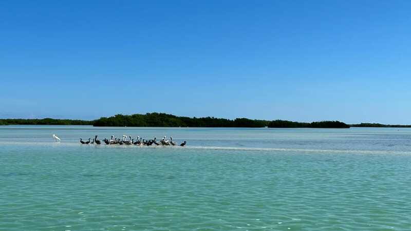 Cabo Catoche Snorkel And Fishing - FAQ