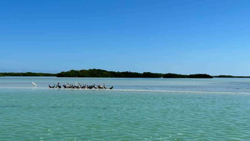 Cabo Catoche Snorkel And Fishing - Why Cabo Catoche Makes a Good Half-Day Trip