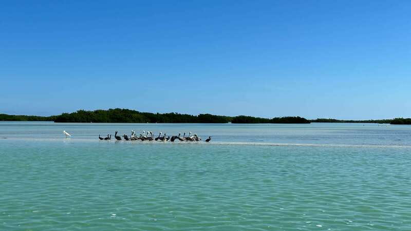 Cabo Catoche Snorkel And Fishing - Leaving Holbox for Cabo Catoche