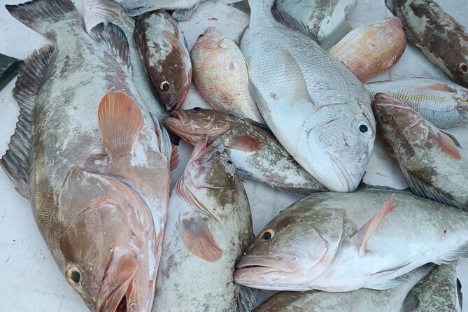 Cabo Catoche Tour with Fishing, Snorkeling and Ceviche - Cuevones near Cabo Catoche for snorkeling