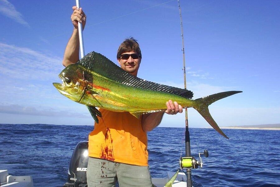 Cabo San Lucas All-Inclusive Fishing Excursion - Pelican Rock adds another water-level stop