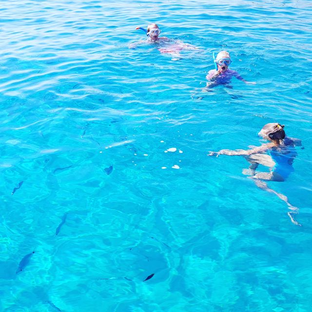 Cagliari: Private or Small Group Fishing Trip Experience - Private or small group: which option fits you?