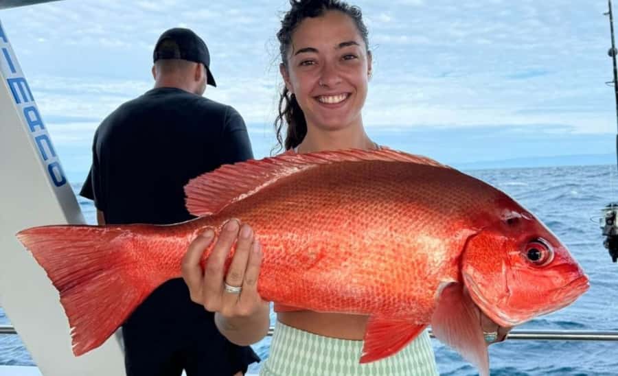 Cairns: Great Barrier Reef Fishing Charter with Lunch - A 6:00 AM start at The Pier Café