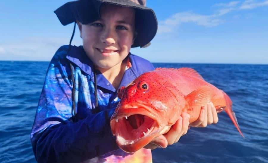 Cairns: Great Barrier Reef Fishing Charter with Lunch - Fishing for Coral Trout and Red Emperor