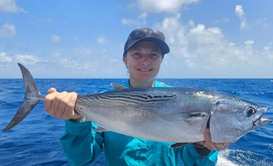 Cairns: Great Barrier Reef Fishing Charter with Lunch - Moving between spots and managing expectations