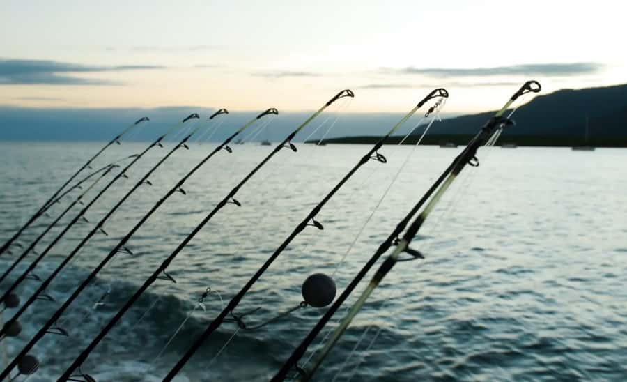 Cairns: Great Barrier Reef Fishing Charter with Lunch - What the $240 price really covers
