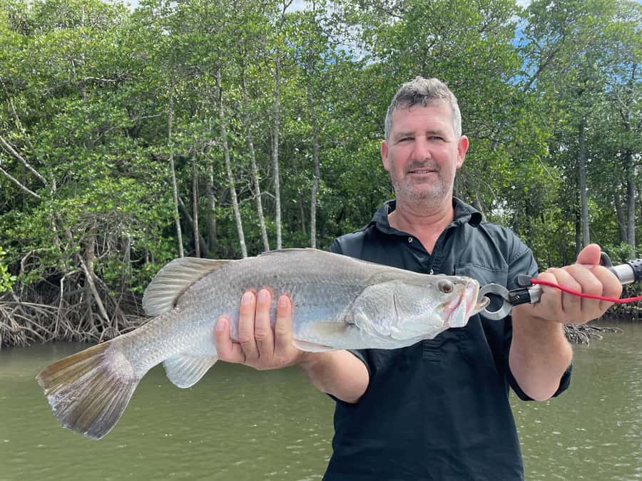 Cairns: Morning Estuary Fishing Charter - The guide can shape the whole morning