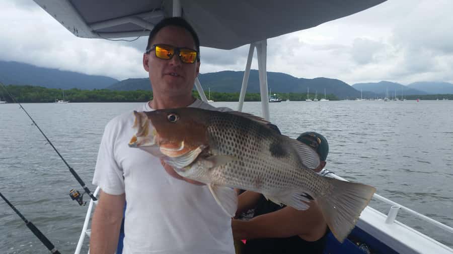 Cairns: Morning Estuary Fishing Charter - What the catch reports tell you