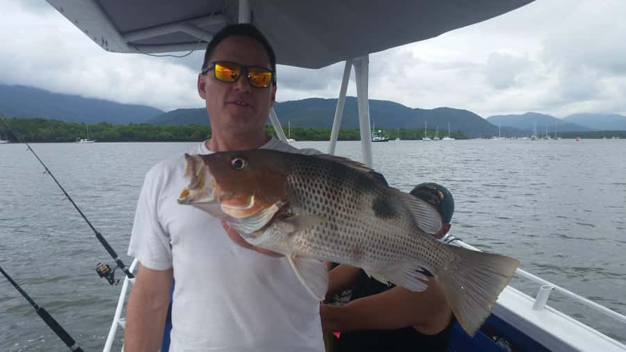 Cairns: Morning Estuary Fishing Charter - Meeting at Cairns Marlin Marina at 6:30am