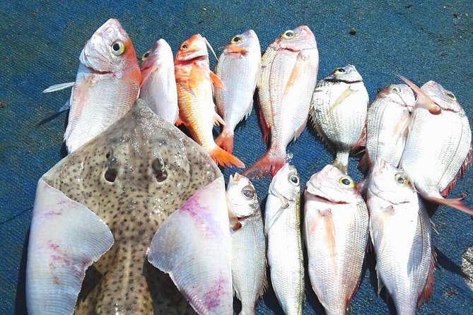 Capri Fishing Excursion with Snorkeling and Lunch from Sorrento - Key things to know before booking