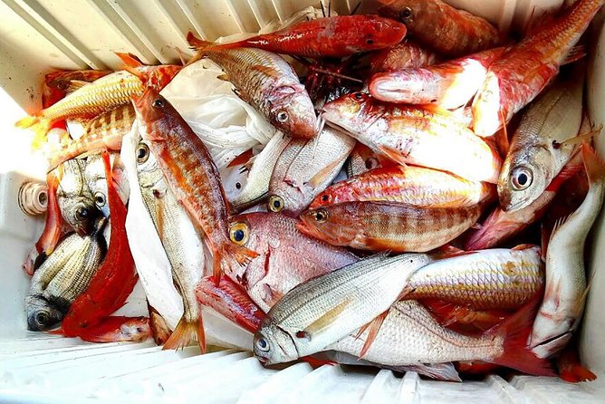Capri Fishing Excursion with Snorkeling and Lunch from Sorrento - A homemade lunch on the boat
