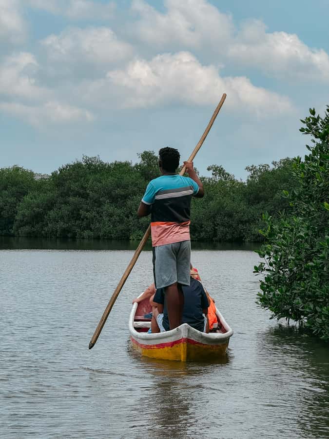 Cartagena: Artisanal fishing through the mangroves - Five things to know before you go