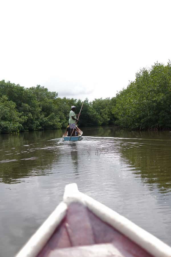 Cartagena: Artisanal fishing through the mangroves - Meeting the community before fishing