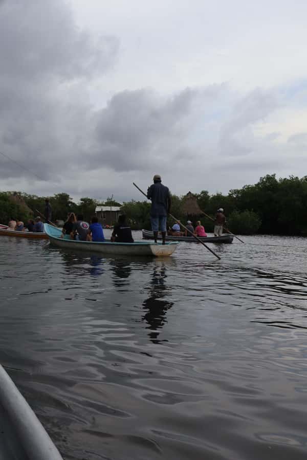 Cartagena: Artisanal fishing through the mangroves - The small island in the mangrove