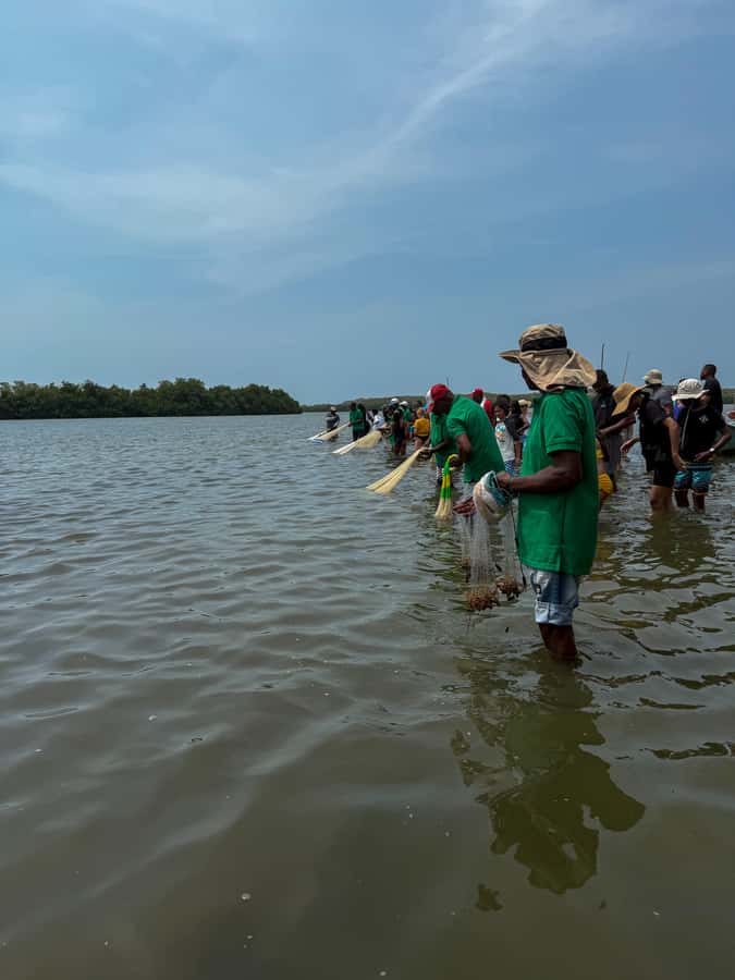 Cartagena: Artisanal fishing through the mangroves - Finishing with a natural drink