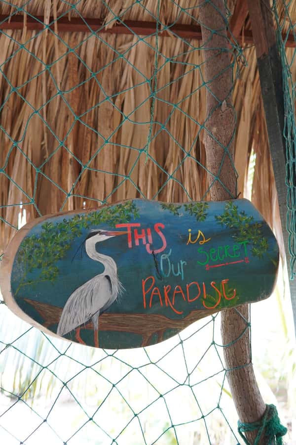 Cartagena: Artisanal fishing through the mangroves - Booking details that matter