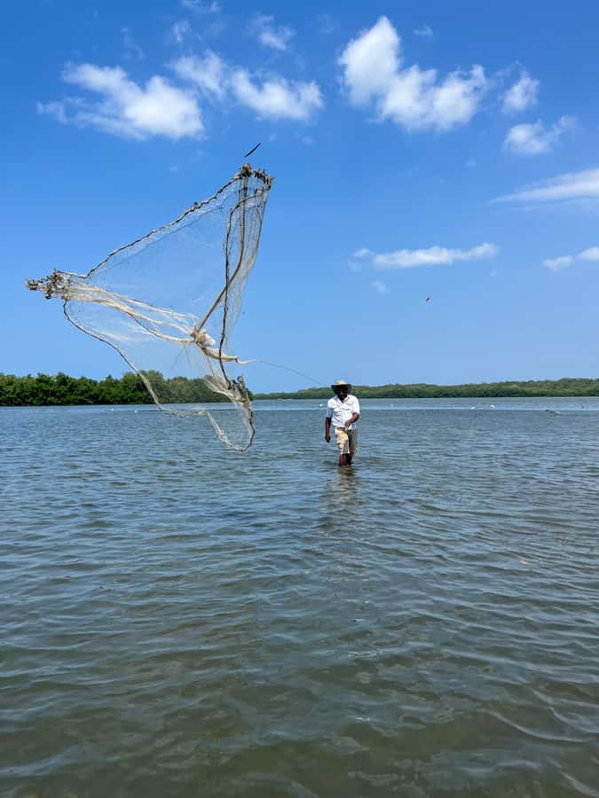 Cartagena: Artisanal fishing through the mangroves - A short ride from the Historic Center