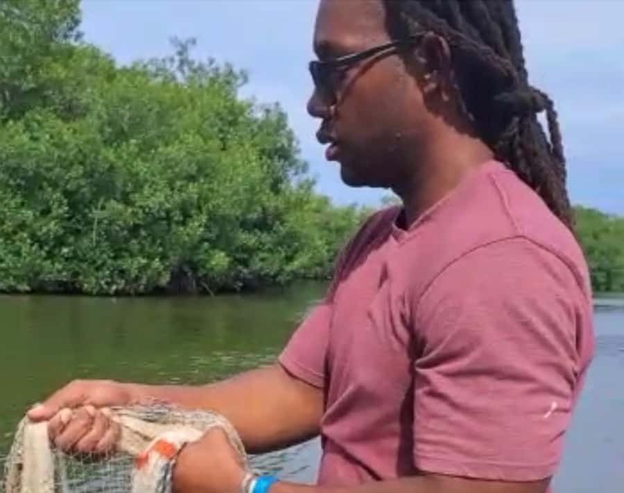 Cartagena Fishing, Crabbing, Birdwatching Experience + Lunch - Why the $79 price can make sense