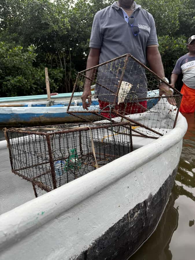 Cartagena: Mangrove Eco Tour & Fishing with Transportation - Drums, dancing, and a more personal connection