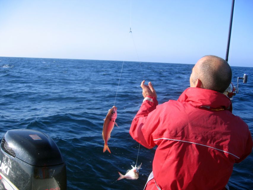 Cascais Deep-Sea Fishing Trip - What you might catch in Cascais waters
