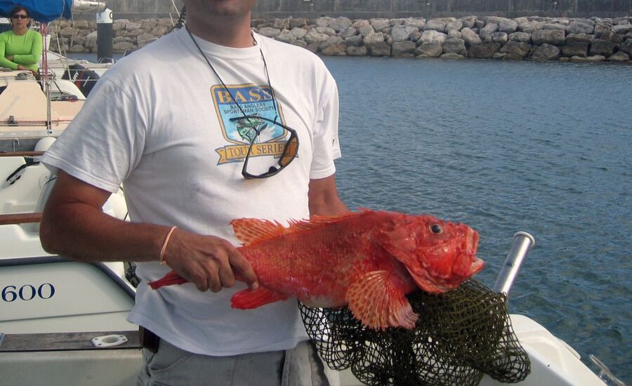 Cascais Deep-Sea Fishing Trip - Food, drinks, and the small details that help