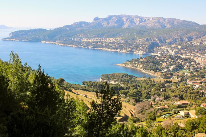 Cassis ancient fishing port, Calanques & spectacular Cap Canaille private tour - Cassis wine at Domaine du Bagnol