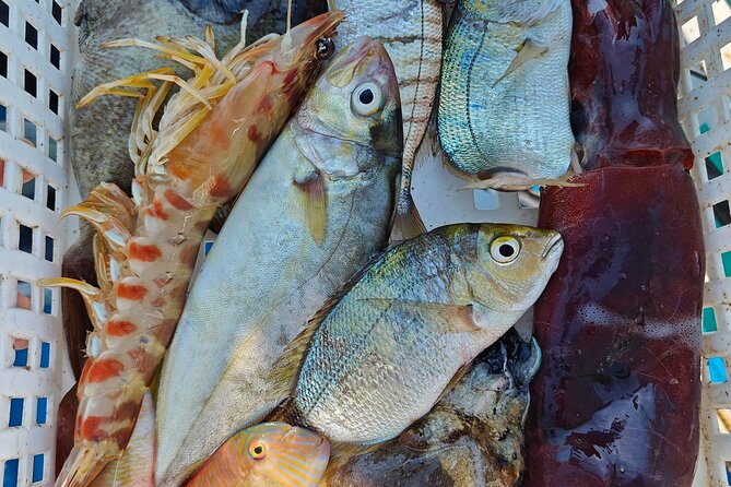 Cefalu: Boat Trip with Fishing, Coastal Tour and Lunch on Board - Starting at Cefalù’s port at 8:30am