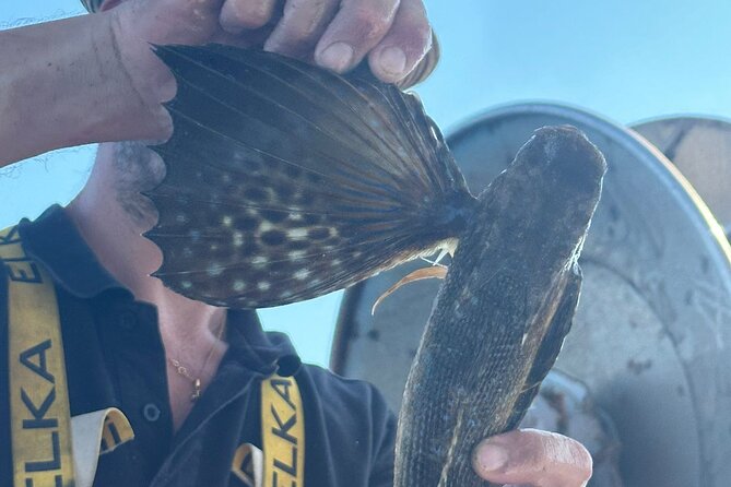 Cefalu: Boat Trip with Fishing, Coastal Tour and Lunch on Board - A 2.5-hour stop at Saint Lucia