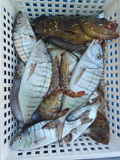 Cefalù: boat trip with fishing, coastal tour, snorkeling, and lunch on board - What makes the small boat worthwhile