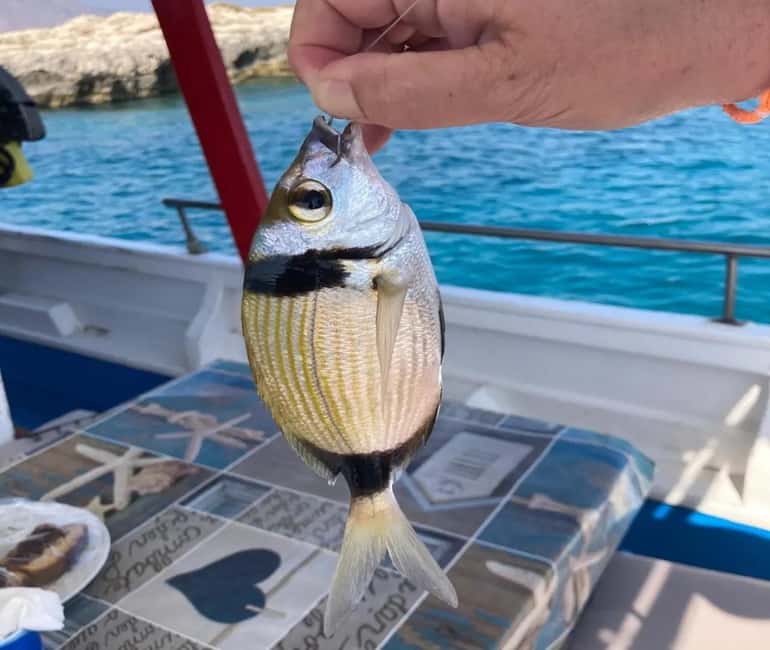 Chania: Fishing Boat Trip with Breakfast and Swim - Is $100 a fair price?