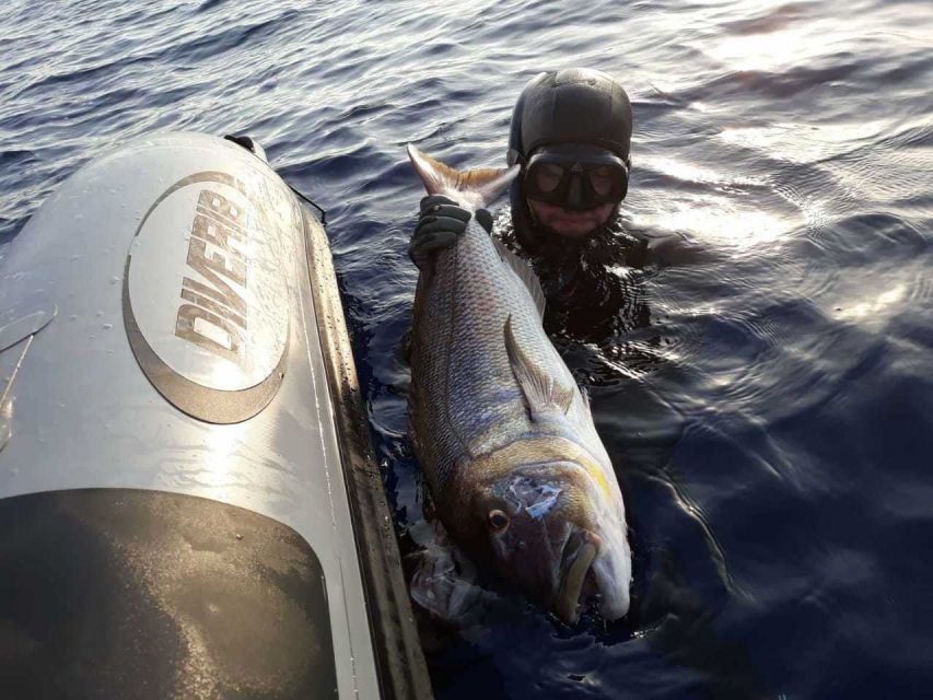 Chania: Private Boat Fishing Trip - A realistic look at the fishing results