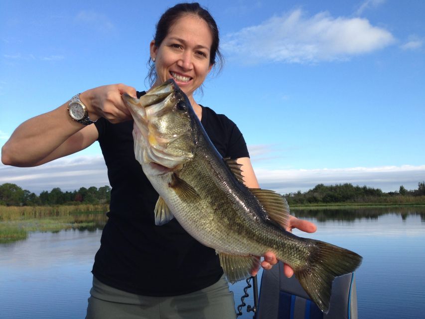 Clermont: Trophy Bass Fishing Experience with Expert Guide - Four hours of bass fishing, without the usual waiting