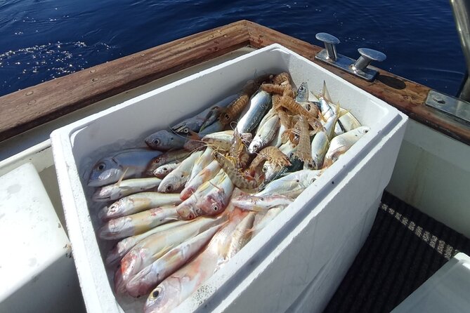 Corfu Private Fishing Cruises - The private format and the value of $474.33