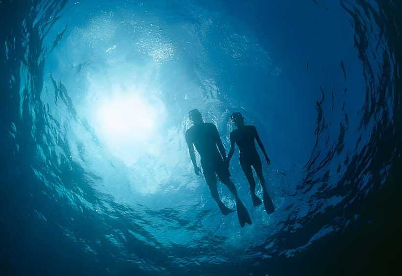 Da Nang: Son Tra Peninsula Exploration - Snorkeling, Fishing - Who will enjoy this Son Tra outing?