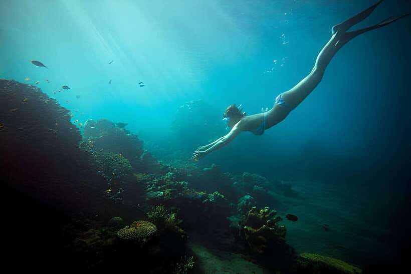 Da Nang: Son Tra Peninsula Exploration - Snorkeling, Fishing - Snorkeling among coral and fish