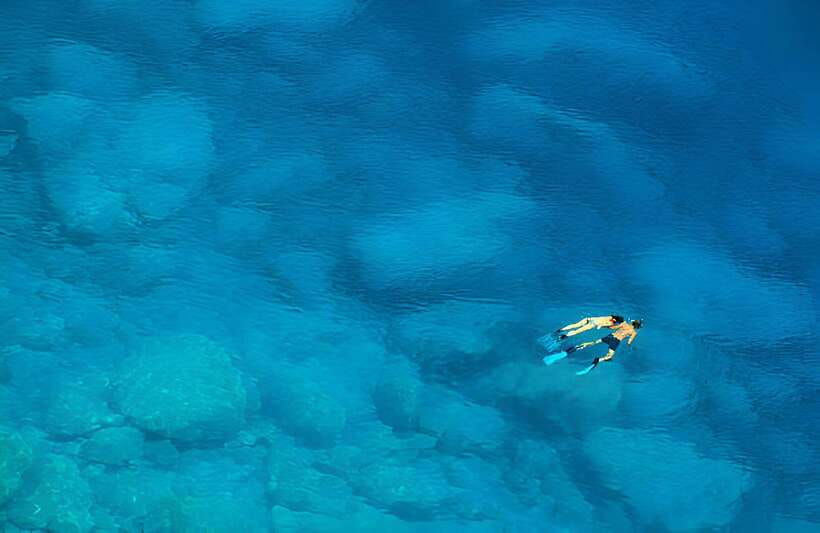 Da Nang: Son Tra Peninsula Exploration - Snorkeling, Fishing - Starting at the CT 15 wharf