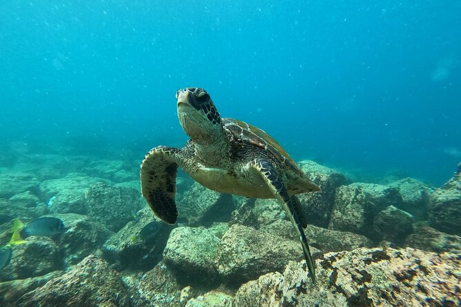 Day Tour to Floreana Island with Snorkeling and Fishing - Five things to know before you book
