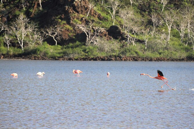 Day Tour to Floreana Island with Snorkeling and Fishing - Setting out from Puerto Ayora at 7:00 a.m.