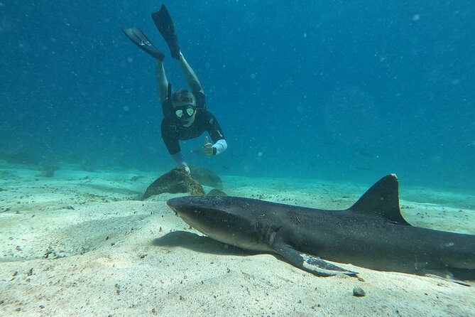 Day Tour to Santa Fe Island and Hidden Beach with snorkeling and fishing - Why Santa Fe makes a strong day trip from Puerto Ayora