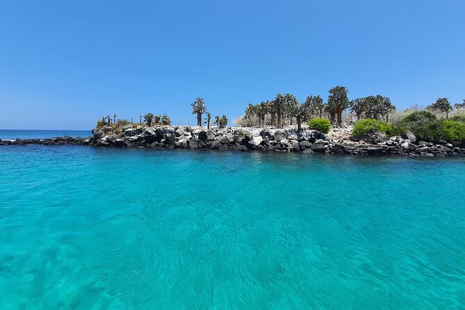 Day Tour to Santa Fe Island and Hidden Beach with snorkeling and fishing - Wildlife above the water and along the shore