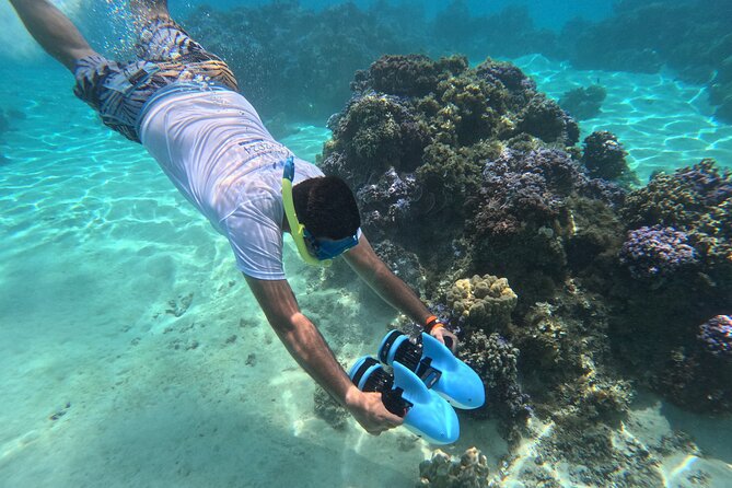 DEEP SEA FISHING 1/2 day (private group) - Weather, cancellation, and planning details