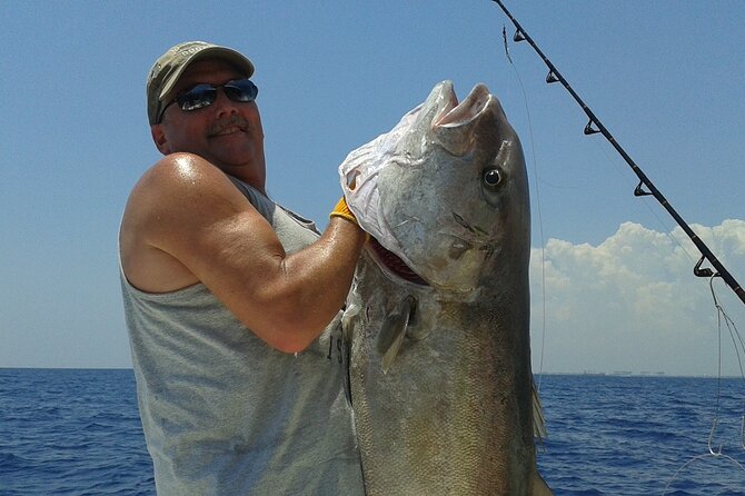 Deep sea fishing charters in Fort Lauderdale aboard 52' Hatteras - Kite fishing for sailfish