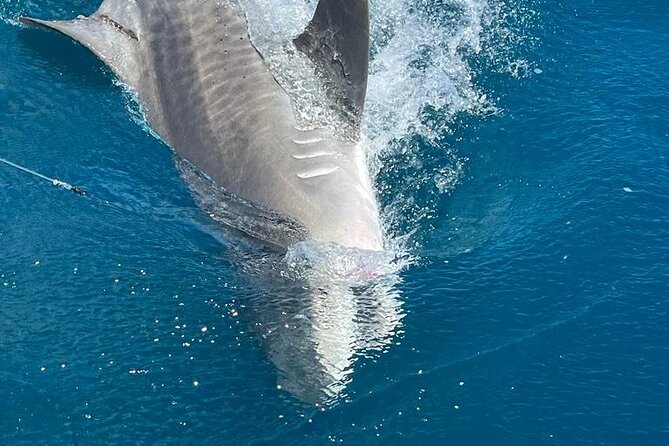 Deep sea fishing charters in Fort Lauderdale aboard 52' Hatteras - The crew: Captain Dave and first mate Kyle