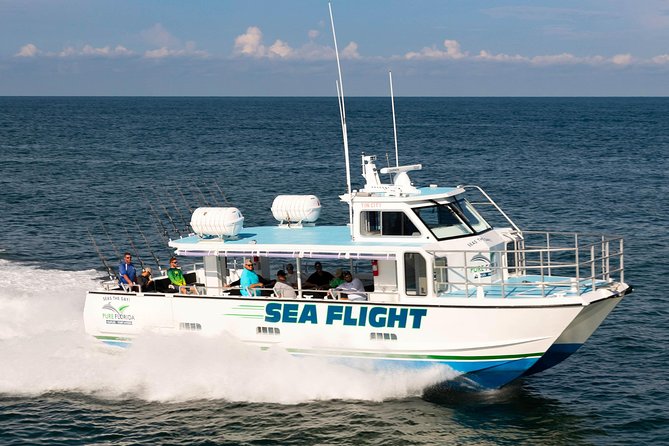 Deep Sea Fishing Four Hour Experience with Experienced Captain - Key points at a glance