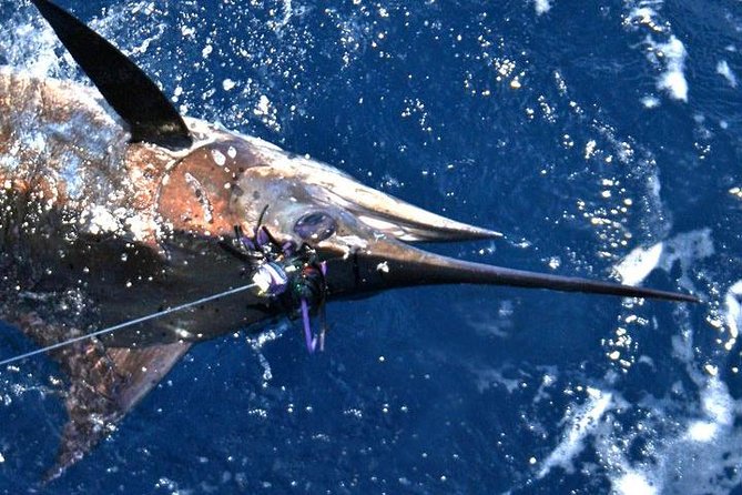 Deep Sea Fishing Private Boat Charter in San Juan - A crew that keeps the trip human
