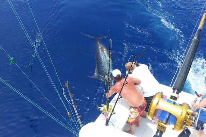 Deep Sea Fishing Tour - Key points before you book