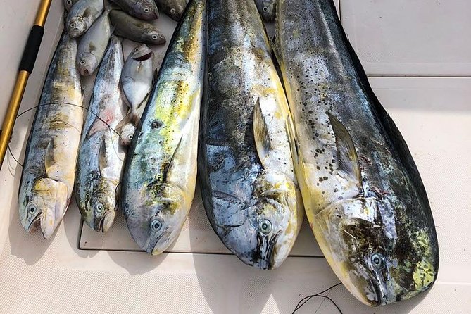 Deep Sea Fishing Tour - Rough seas and boat condition